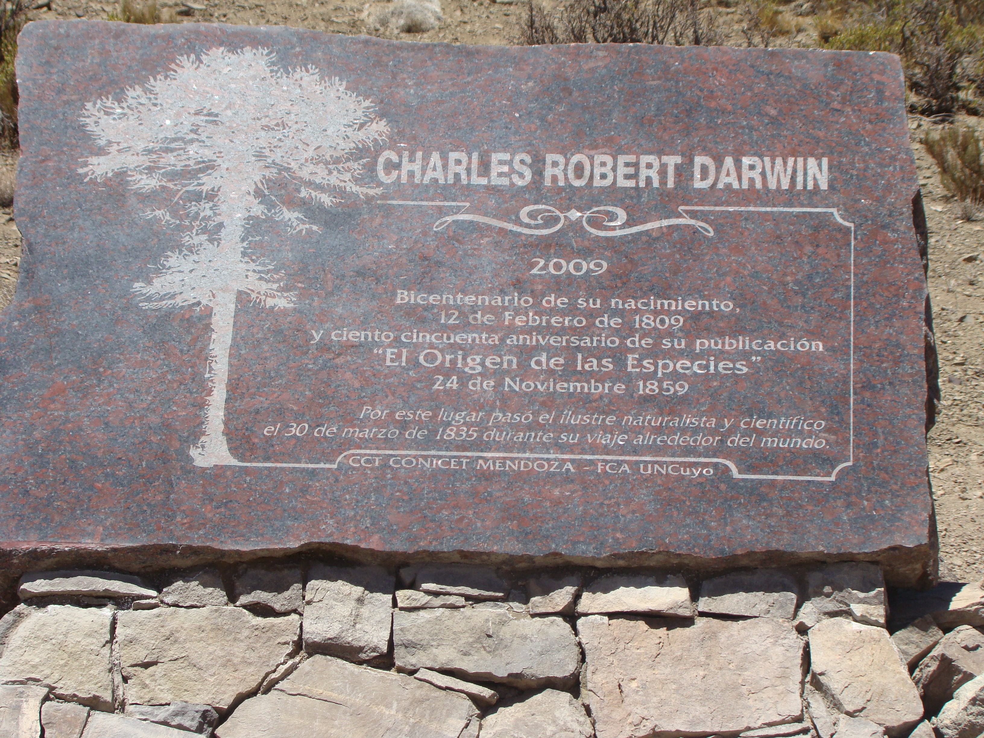 Imagen:Monumento_Darwin.JPG